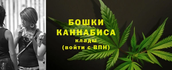 винт Нягань