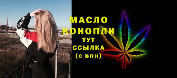 молекула духа Няндома