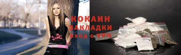 молекула духа Няндома