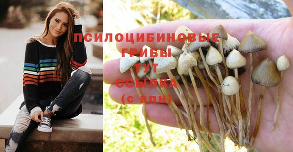 mdma Нязепетровск