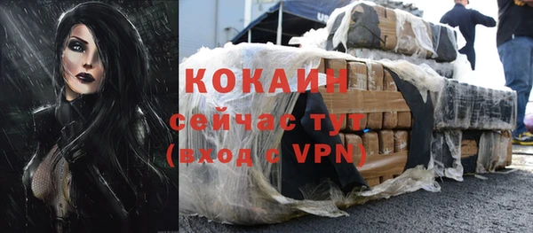молекула духа Няндома