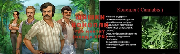 молекула духа Няндома