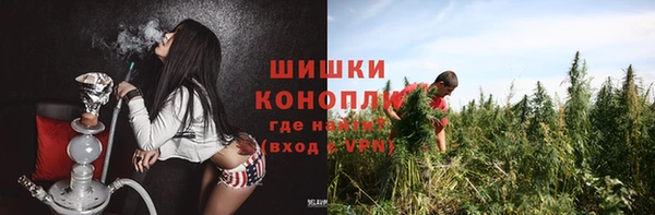 винт Нягань