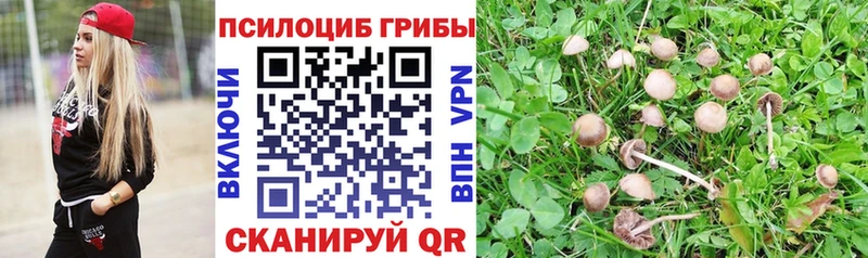 наркота  Рыльск  Галлюциногенные грибы ЛСД 